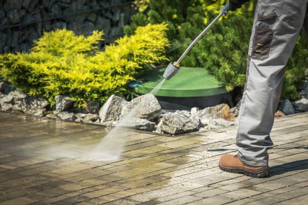 Best Soft Washing  in Bloomingdale, NJ